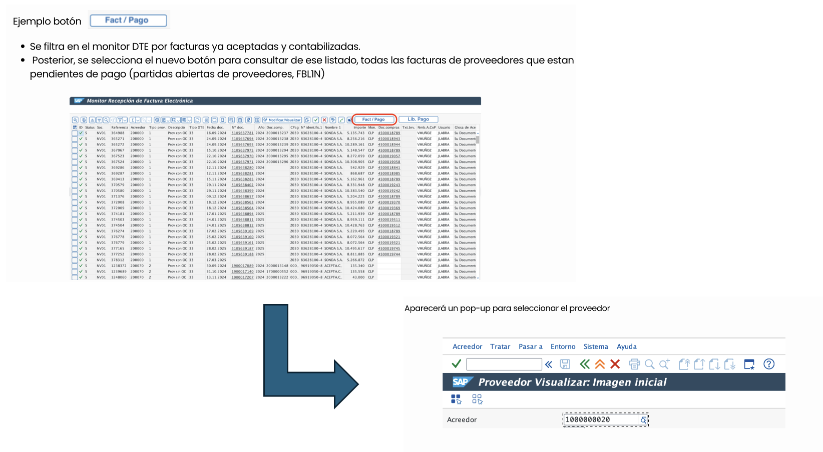 Ejemplo Fact/Pago: desde facturas aceptadas a partidas abiertas por proveedor